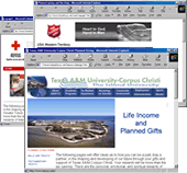 image - composite of web site pages
